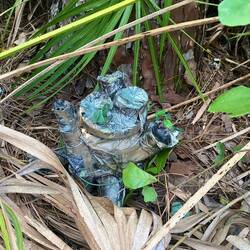 Ein Geocache versteckt sich auch im Park