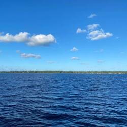 Der Moss-Park liegt an einem See. Schwimmen dürfen hier aber nur die Alligatoren