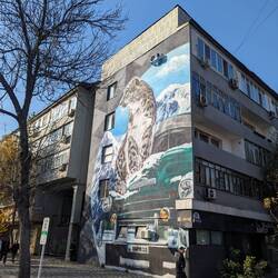 I love the street art