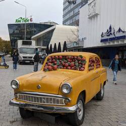 Almaty - home of the apple!