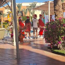Die Entertainer Weihnachtsgarde