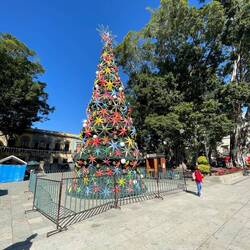 Big Christmas tree on Zócalo (Plaza de la Constitución) in Oxaca, Mexico