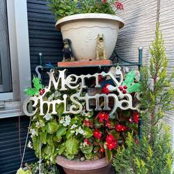 Christmas decorations in front of a random restaurant in Fukushima City, Japan