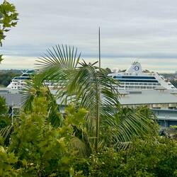 Hello Regatta! — Sydney, NSW.
