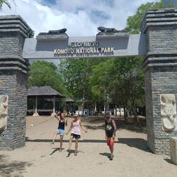 Komodo's main attraction: The biggest monitor lizard on earth, the "Komodo dragon"