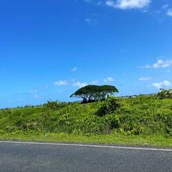 auf den Weg zum Beach Resort