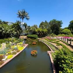 Spectacle Garden ... Roma Street Parkland — Brisbane, QLD.