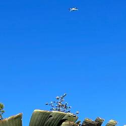 Patrick lässt die Drohne fliegen