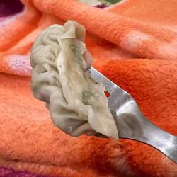 Momos, gefüllte Teigtaschen