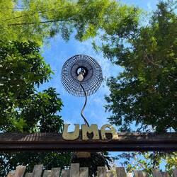 再见了Uma，希望下次还能来躺几天