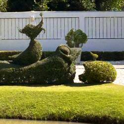 Ente, Frosch und Igel aus Hecke geschnitten