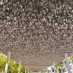 Überdachung vom Weg