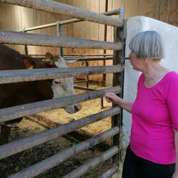 Begegnungen mit Tieren🤔