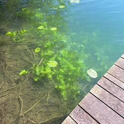 Glasklar und badetauglich