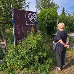 Rosengarten gefunden 😂