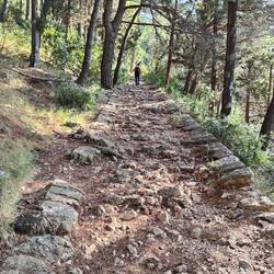 The path up