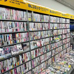 Boys-Love Manga (ja, du vermutest richtig)