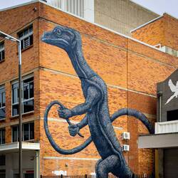 Greeted by a dragon upon arriving in the Townsville CBD.