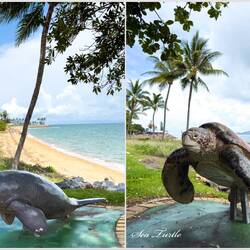 Public art along The Strand — Townsville, QLD.