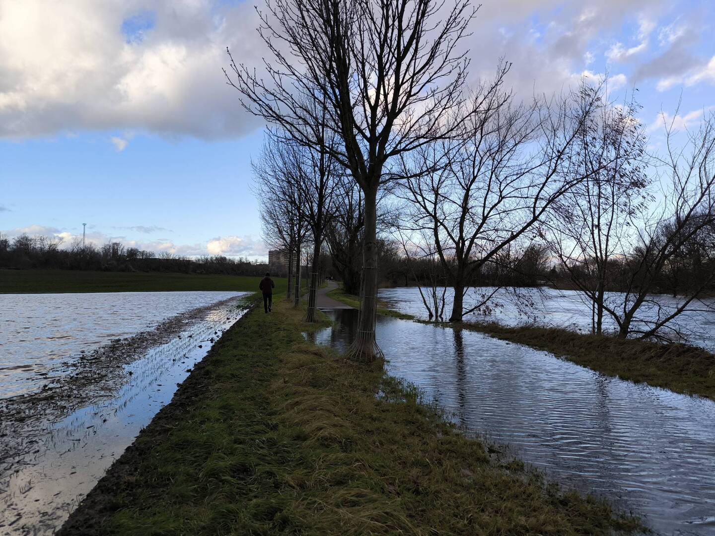 Ganz rechts die Saale, dann rechts der Radweg und links die Wiese