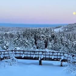 Blick in die Schlucht des „Döda Fallet“ (Toter Fall).