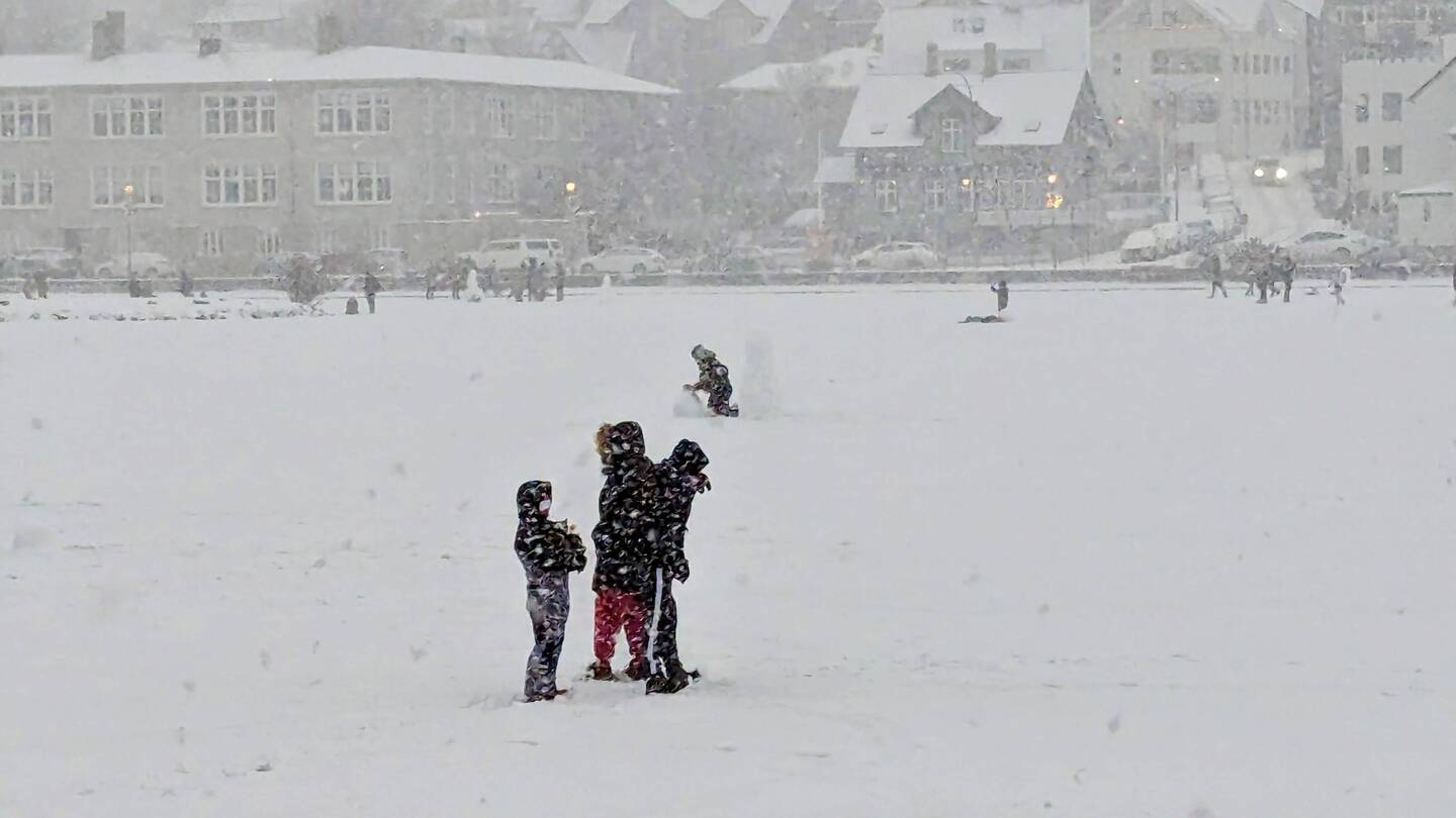 The kid in front is holding his cat (on a leash). The guy in back is building a snowman!