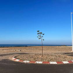 Kreisverkehr - für wen auch immer