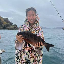 First fish on the spear gun!