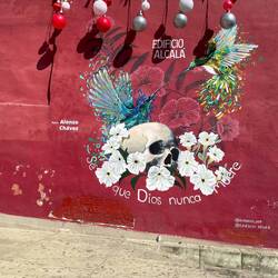 Street art in Oaxaca city centre
