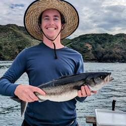 What a fish!