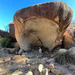 The Hippos Yawn (Kev for scale)