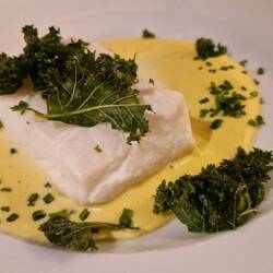 Fisch in allen Varianten