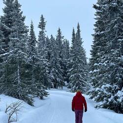 Snow