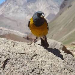 Lot's of birdies along the way