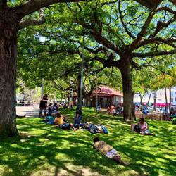 ...mach mal Mittagspause