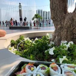 Dubai Fontain mit Westlichem Klangteppich
