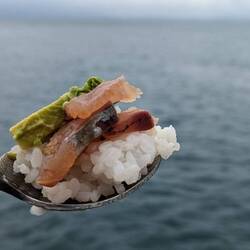 Koheru sashimi