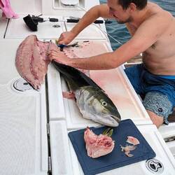 If you shoot it, you've got to fillet it!