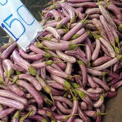 Brinjal