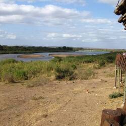 Lunch on the Sabie River