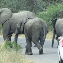 Always give way to the big grey obstacles