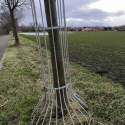 Biberschutz