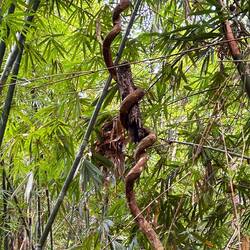 ich lass dich nicht los!