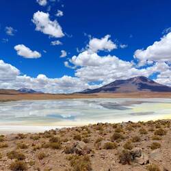 Die Laguna Hedionda ist schön, stinkt aber nach faulen Eiern aufgrund des hohen Schwefelgehalts 😷😂