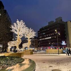 In ganz Stockholm ist es weihnachtlich dekoriert😍