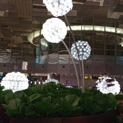 Changi flowers