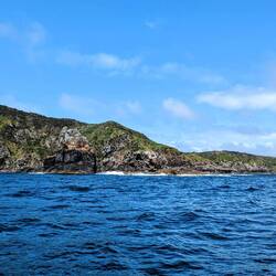 Rugged Northland coastline