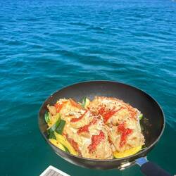Yum pig fish!