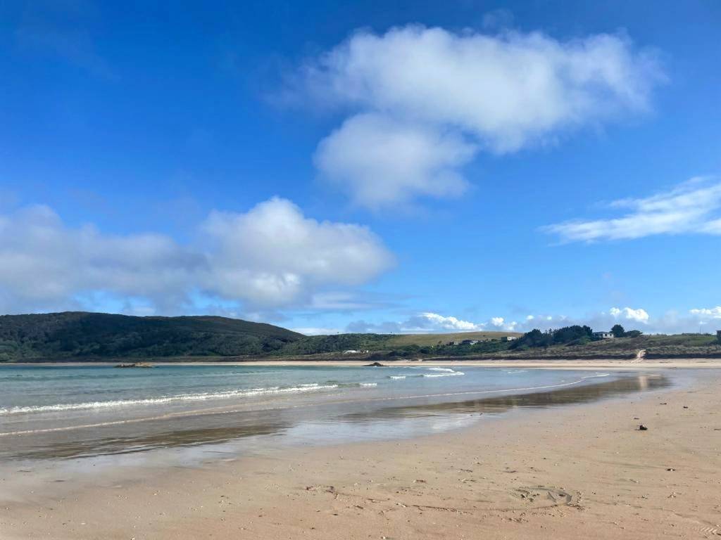 Northland has the best beaches in the world