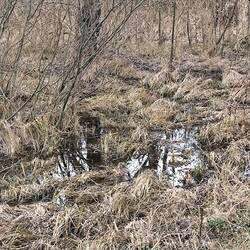 Geiselaue unter Wasser